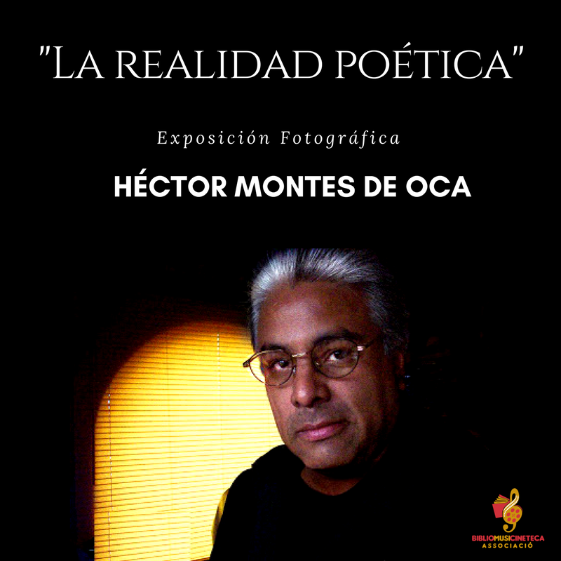 La realidad poética- Héctor Montes de Oca (2)