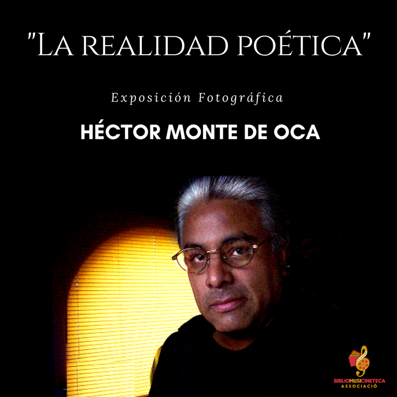 La realidad poética- Héctor Montes de Oca